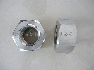 英科耐爾InconelX-750螺母