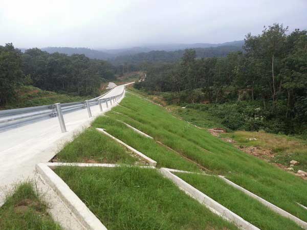 高鐵鐵路植草護坡工程圖片