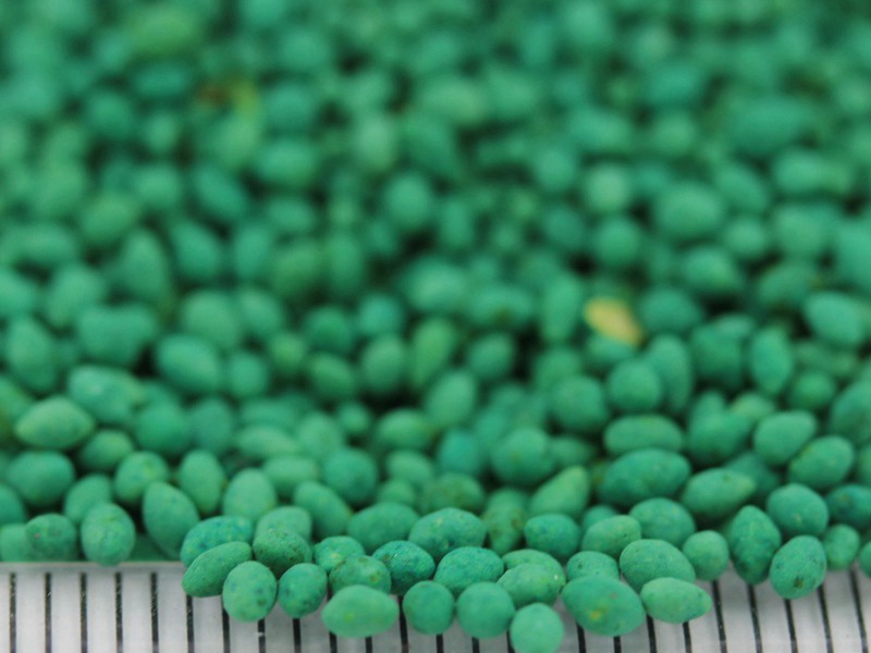 包衣帶殼狗牙根種子 包衣帶殼狗牙根種子