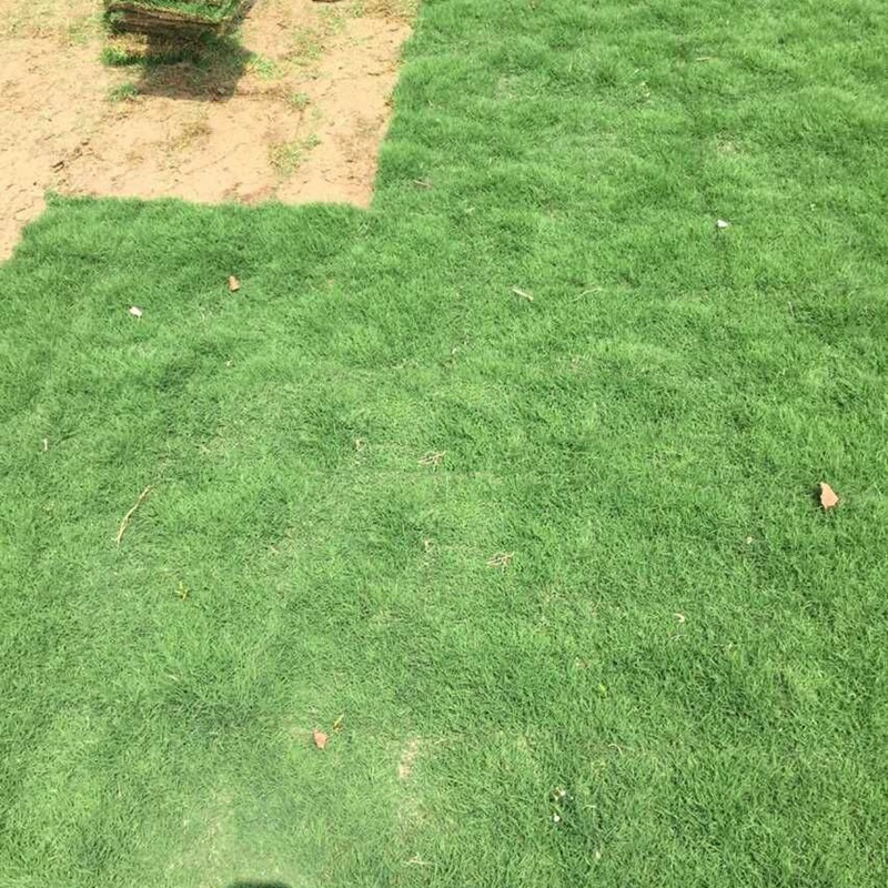 1646886524817864.jpg