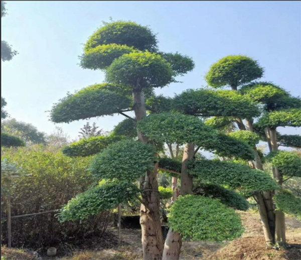 1648443018236219.png