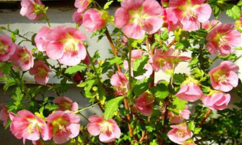 1649909200214555.jpg